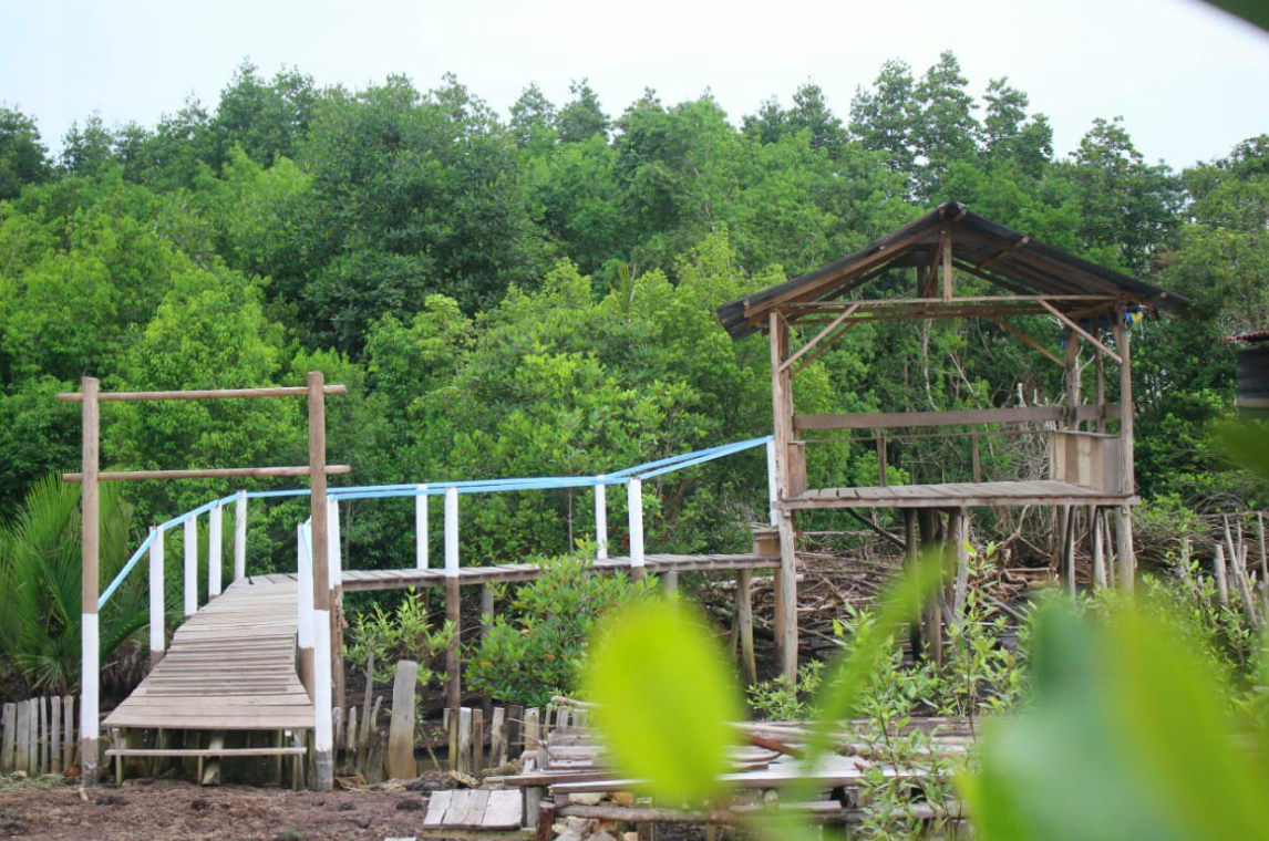 hutan-mangrove-sebauk-bathin-sobanga